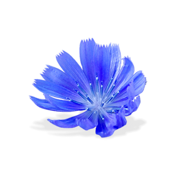Inulin
